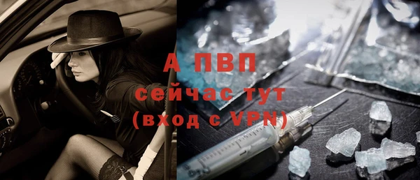 марки lsd Пересвет