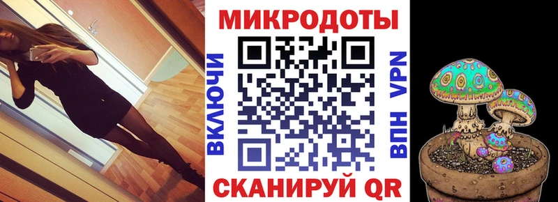 закладки  Белозерск  Псилоцибиновые грибы Psilocybe 