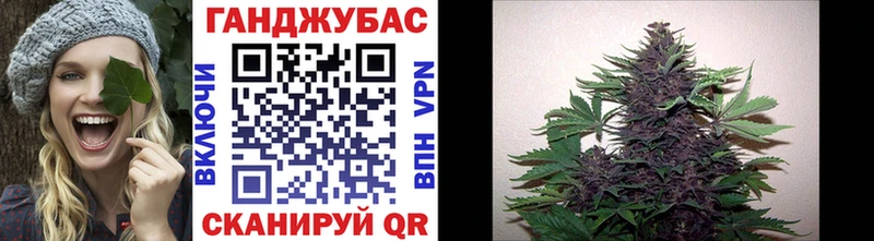 где найти наркотики  Белозерск  Конопля White Widow 